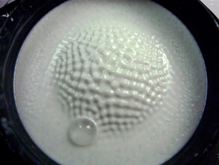 P1010252